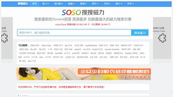 为什么番号现在在百度里不能用了 点进去后无法显示