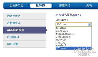 什么是动态域名解析