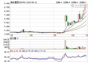 东呈集团,香港瑞东集团