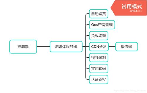 直播流程包含哪些内容