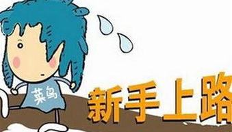 新手创业好项目有哪些