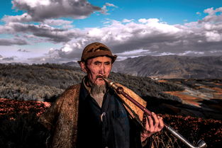 橡树摄影网的橡树的来源