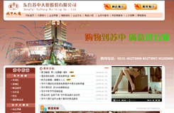 东台网络公司网站建设哪家比较好