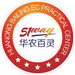 中国电子商务研究中心的成立背景