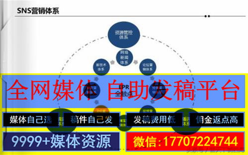品牌推广的策略有哪些