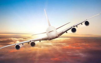 开飞机是什么意思？