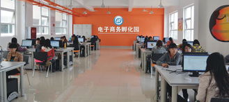 创业孵化园是做什么的