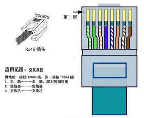 水晶头制作顺序,水晶头制作方法