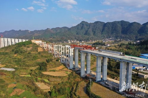 湘西清舞飞扬文化传媒有限公司怎么样？