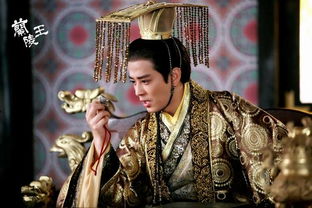 电视剧兰陵王大结局是什么