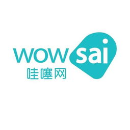 哇噻网,哇噻网 mp4