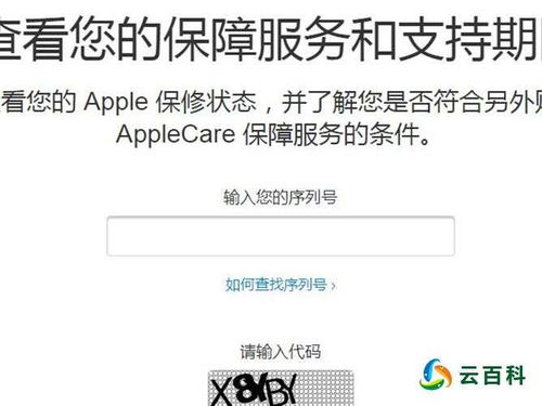 苹果官网序列号查询