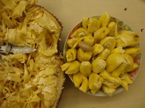 菠萝蜜怎么吃？