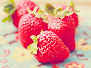 草莓节是几月几号,草莓节活动策划方案