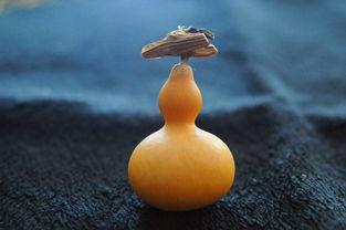 葫芦网入口,葫芦网