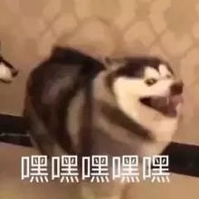 英雄联盟什么叫甩锅局