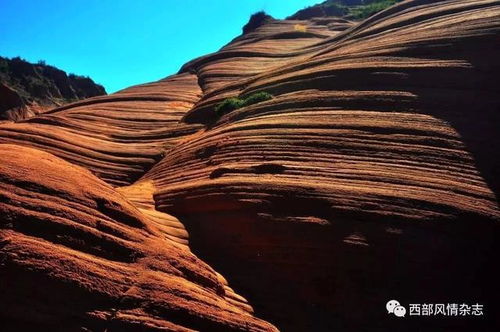 雅丹地貌和丹霞地貌的区别如看到图片怎样区别