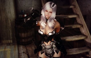 《上古卷轴5》人物的MOD怎么用？