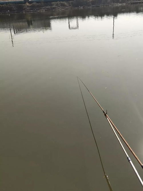 如何自制钓鱼漂