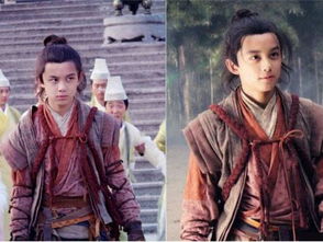 最近有哪些好看的电视剧？