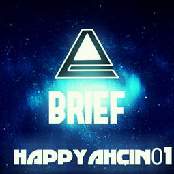 brief的意思是什么？