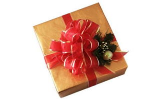 送男朋友什么礼物好学生,给男朋友送礼物应该送什么