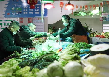 网上菜市场前景