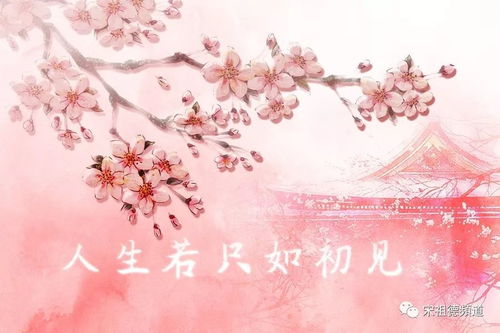 女的说人生若只如初见的意思