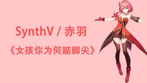 女孩你为何踮脚尖的歌词是什么？