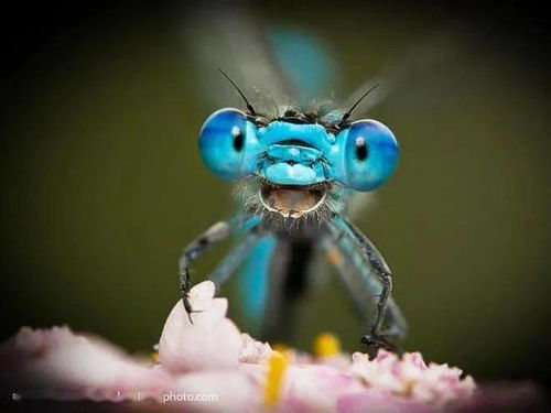 可以投稿的网站有哪些