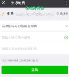 电费网上缴费后什么时候来电,电费网上缴费后需要插卡吗