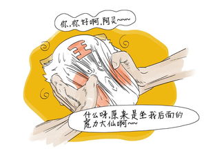 考试大的大事件