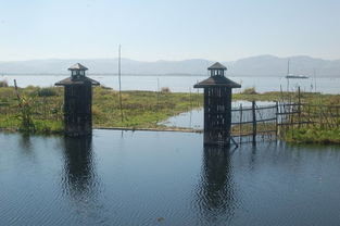 酷睿skylake和i5的区别