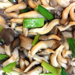 如何炸蘑菇好吃又简单