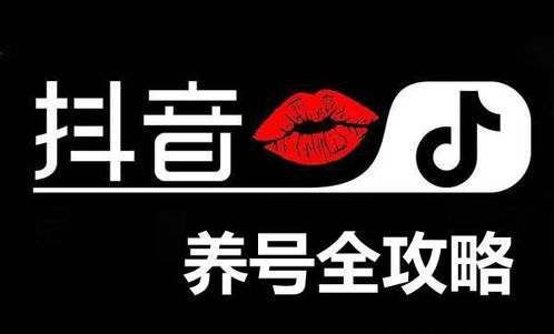 抖音7天养号教程要怎么浏览