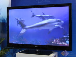 海尔模卡电视 不能连接网络