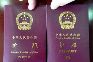 中国电子护照申请