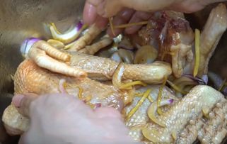 高压锅10分钟相当于炖多久