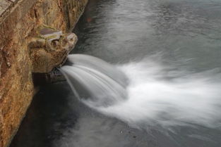 竹坞无尘水槛清 相思迢递隔重城 秋阴不散霜飞晚 留