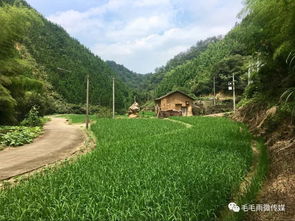 一亩三分地什么意思？