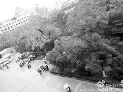 重庆不会地震吧