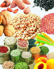 小米五谷杂粮的介绍