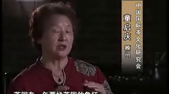 影视风云路是哪种类型的节目