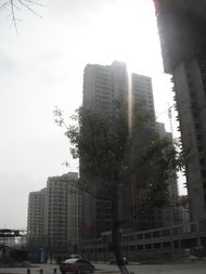 南昌有哪些房地产公司