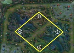 lol正方形打野什么意思