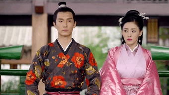 求太子妃升职记小说百度云