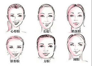 脸型识别器在线