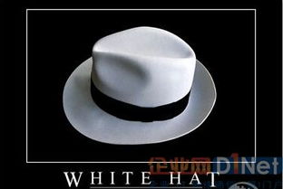 什么是白帽、黑帽与灰帽？
