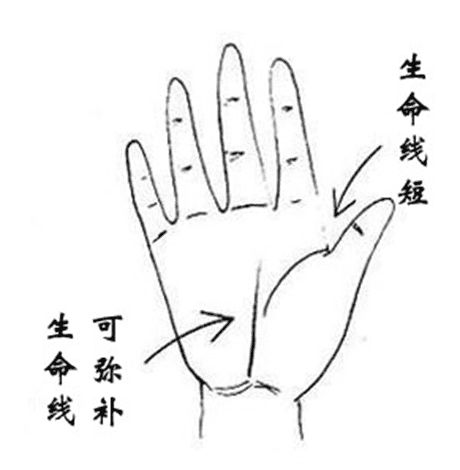 免费扫一扫手相算命