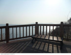 views是什么意思